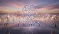 Liora Serum